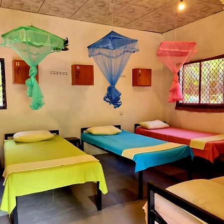 Helena Hostel Dikwella Ngoại thất bức ảnh