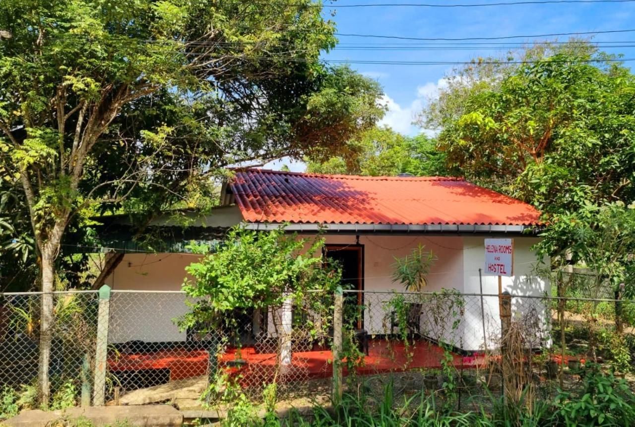 Helena Hostel Dikwella Ngoại thất bức ảnh