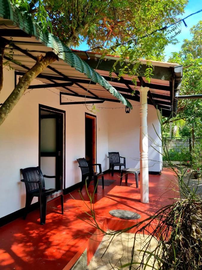 Helena Hostel Dikwella Ngoại thất bức ảnh